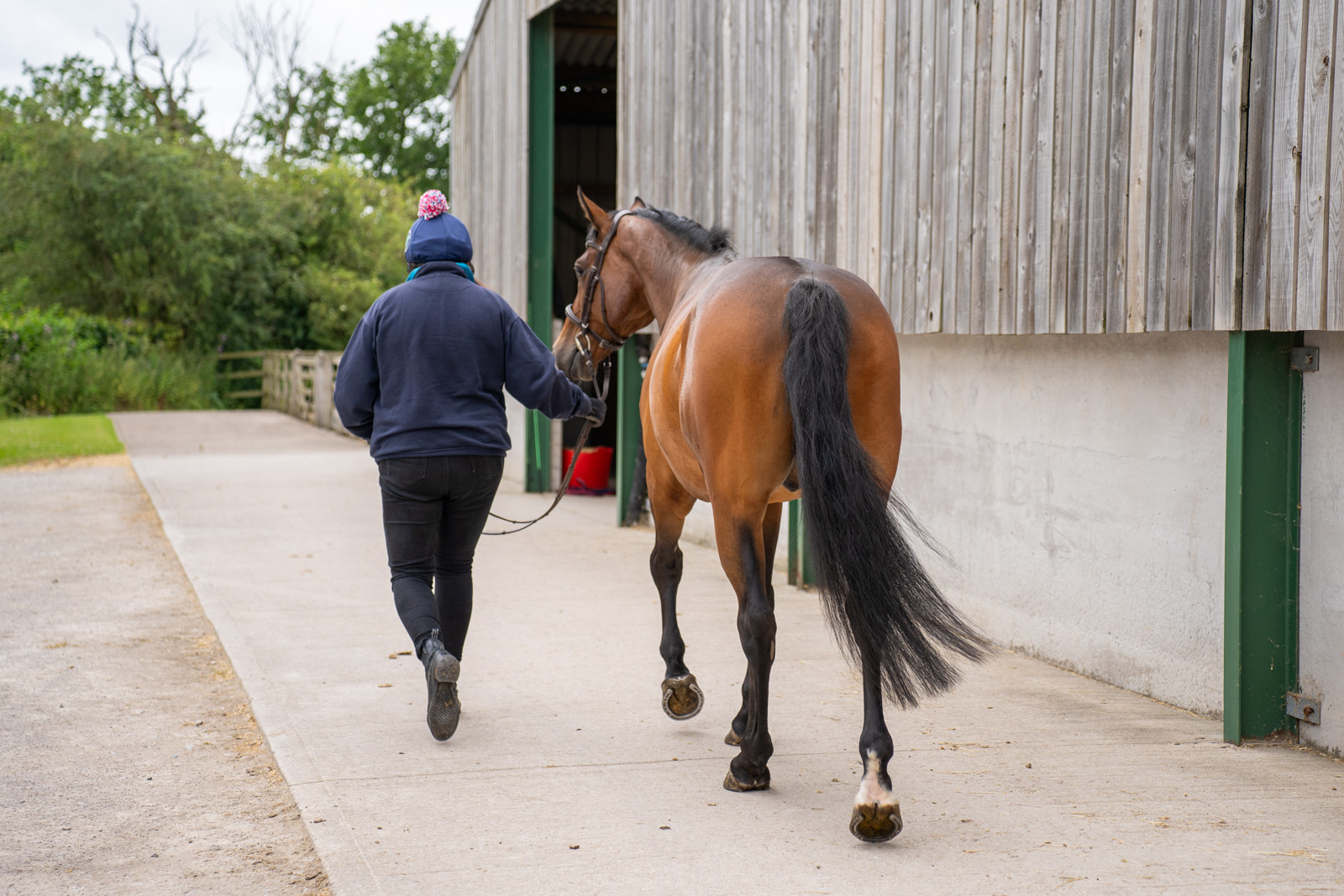 Ashbrook Equine Hospital (Web) 033
